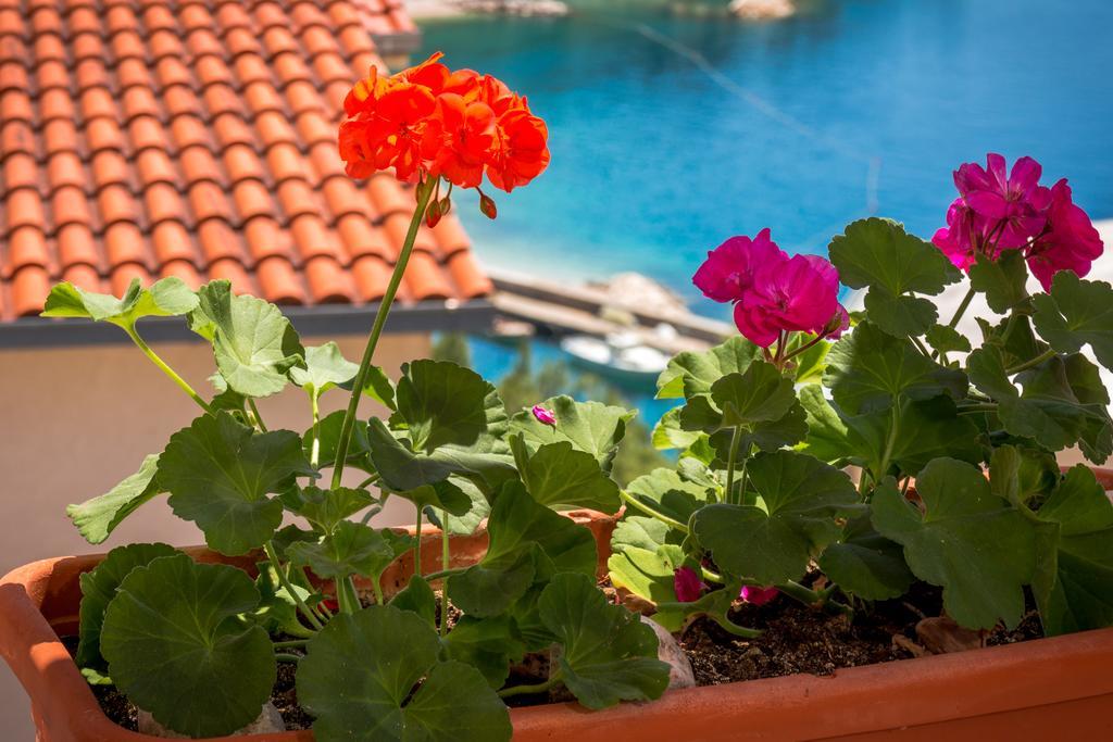 Guest House Davor Tomas Brela Exterior foto